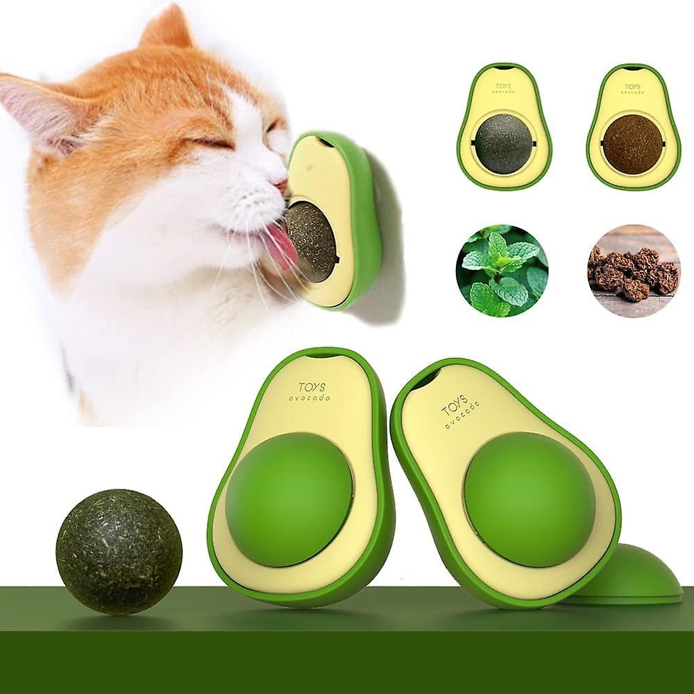 TropicalPaws™ | 1+1 Gratis