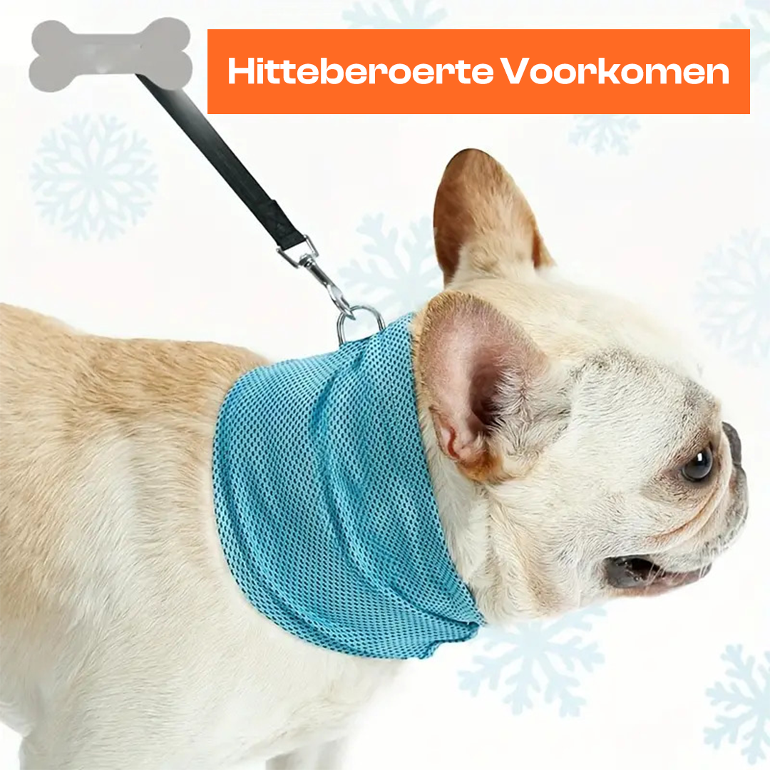 FreshFurr™ | Veilige Verkoeling Halsband