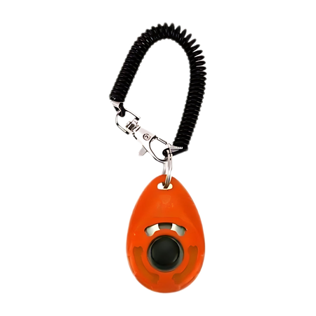 Clickzy™ | Heldere Klik, Snelle Training!