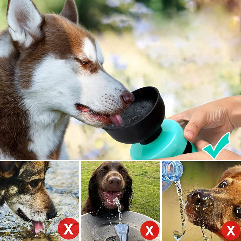AquaPup™ | Waterfles Voor Huisdieren