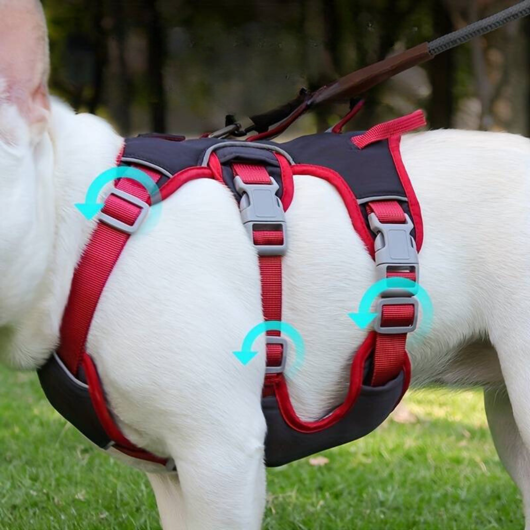 BarkVest⢠| Anti-Trek Hondentuig met reflectie