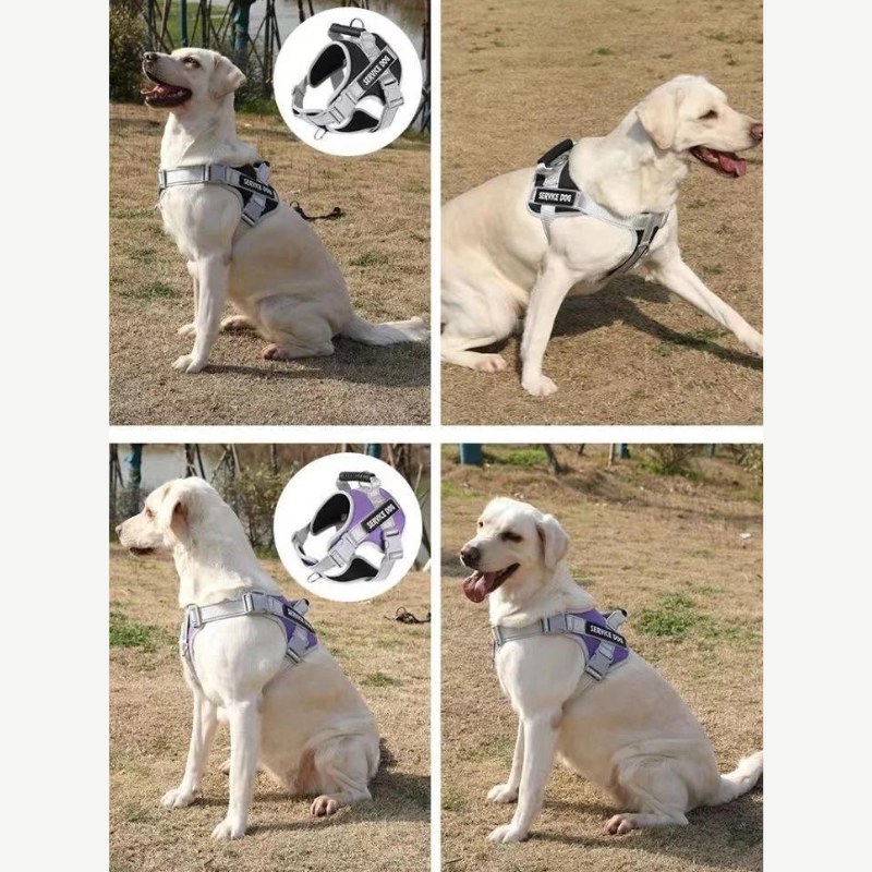 SecurePaws⢠| Riem-Harnas voor HulpHond