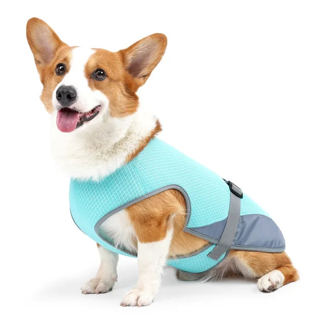 CoolBarker™ | Bescherm je Hond Tegen Hitte