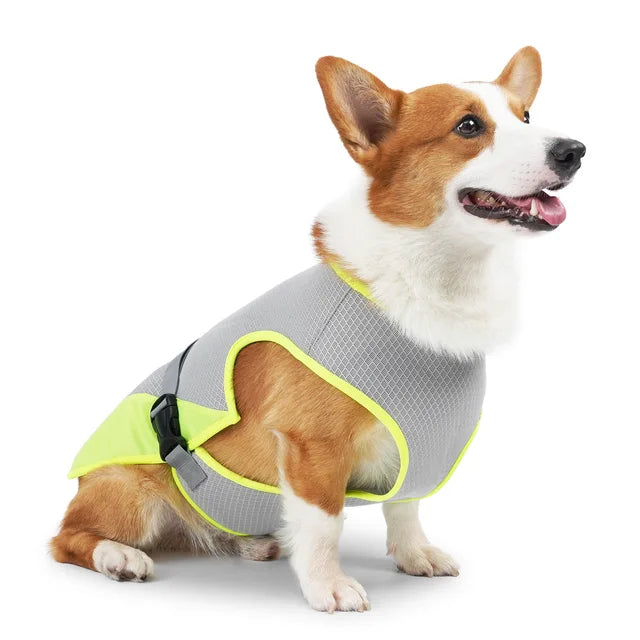 CoolBarker™ | Bescherm je Hond Tegen Hitte