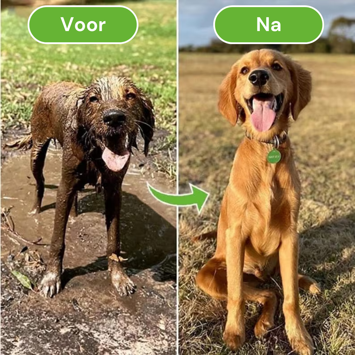 SoapyPaws™ | Ultieme Hondenspa Douchekop