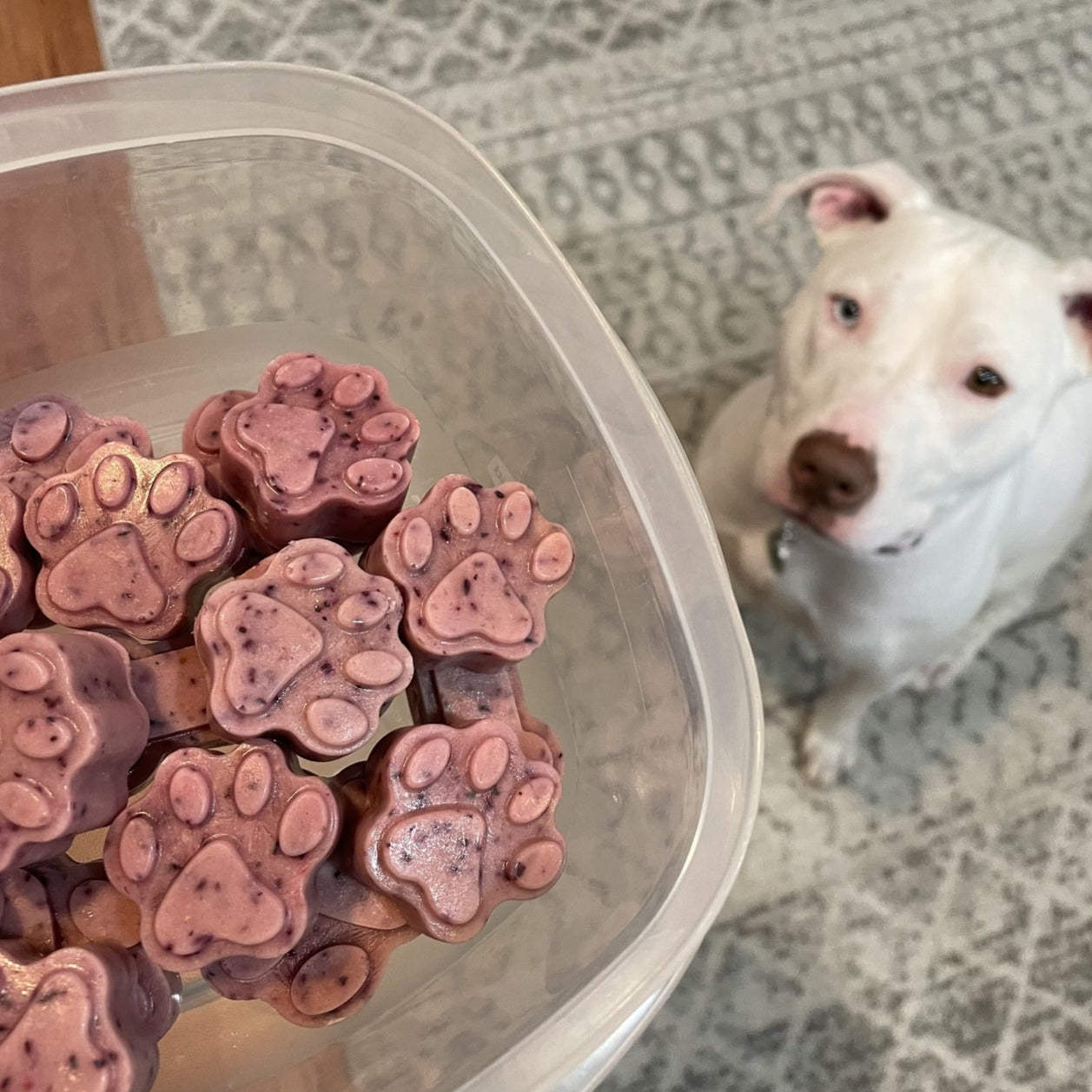 FuzzyFlavors™ | Inclusief 10 unieke recepten