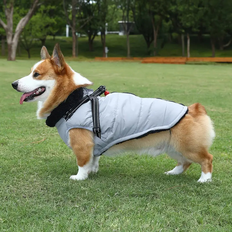 Barkie™ | Nooit meer koude wandelingen