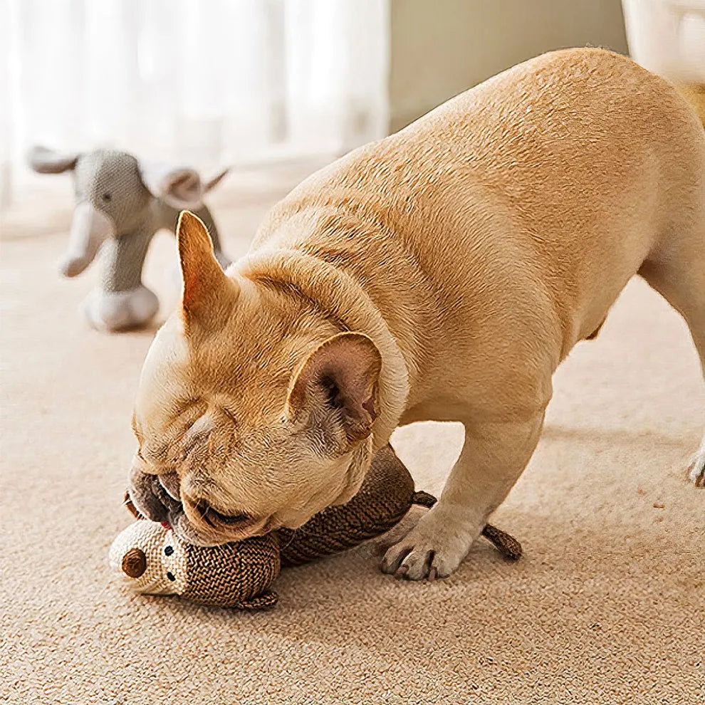 FurryFriend™ | Stevig piepend hondenspeeltje