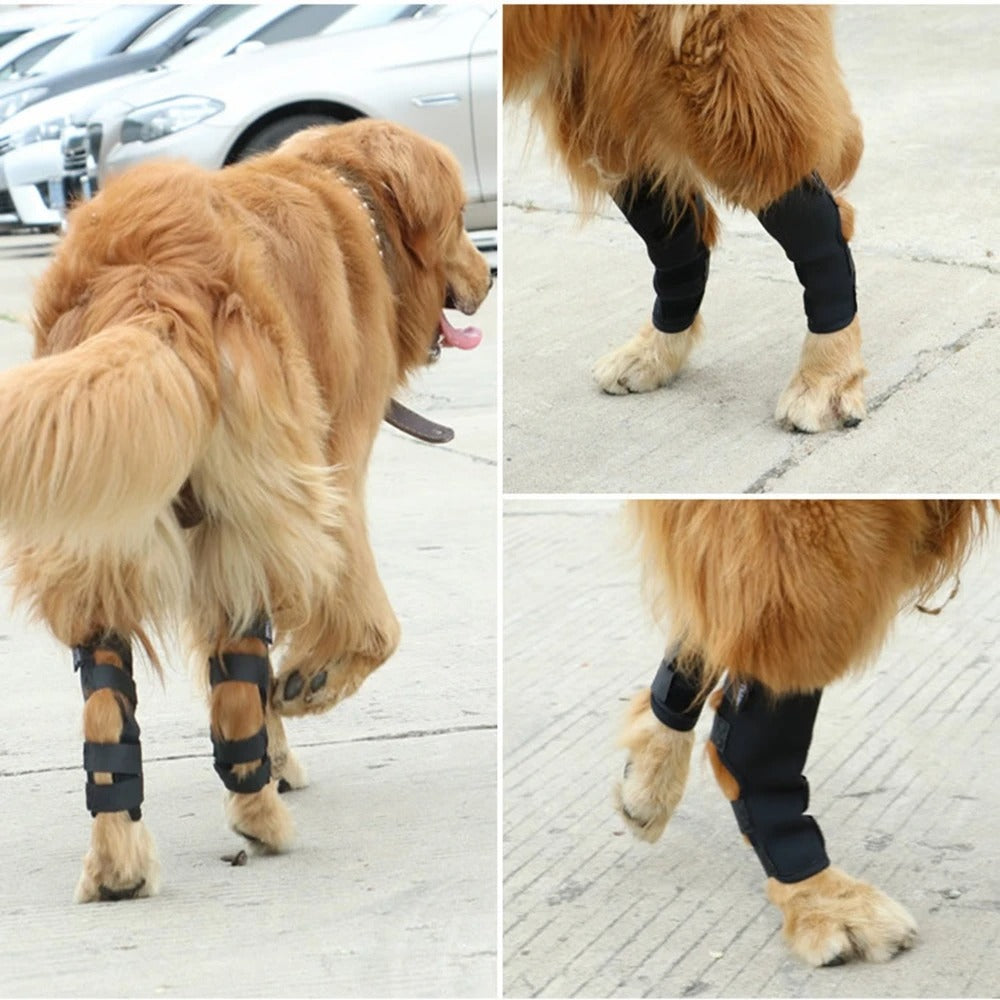 ActivePaw™ | Kniebrace voor veilige en pijnvrije beweging