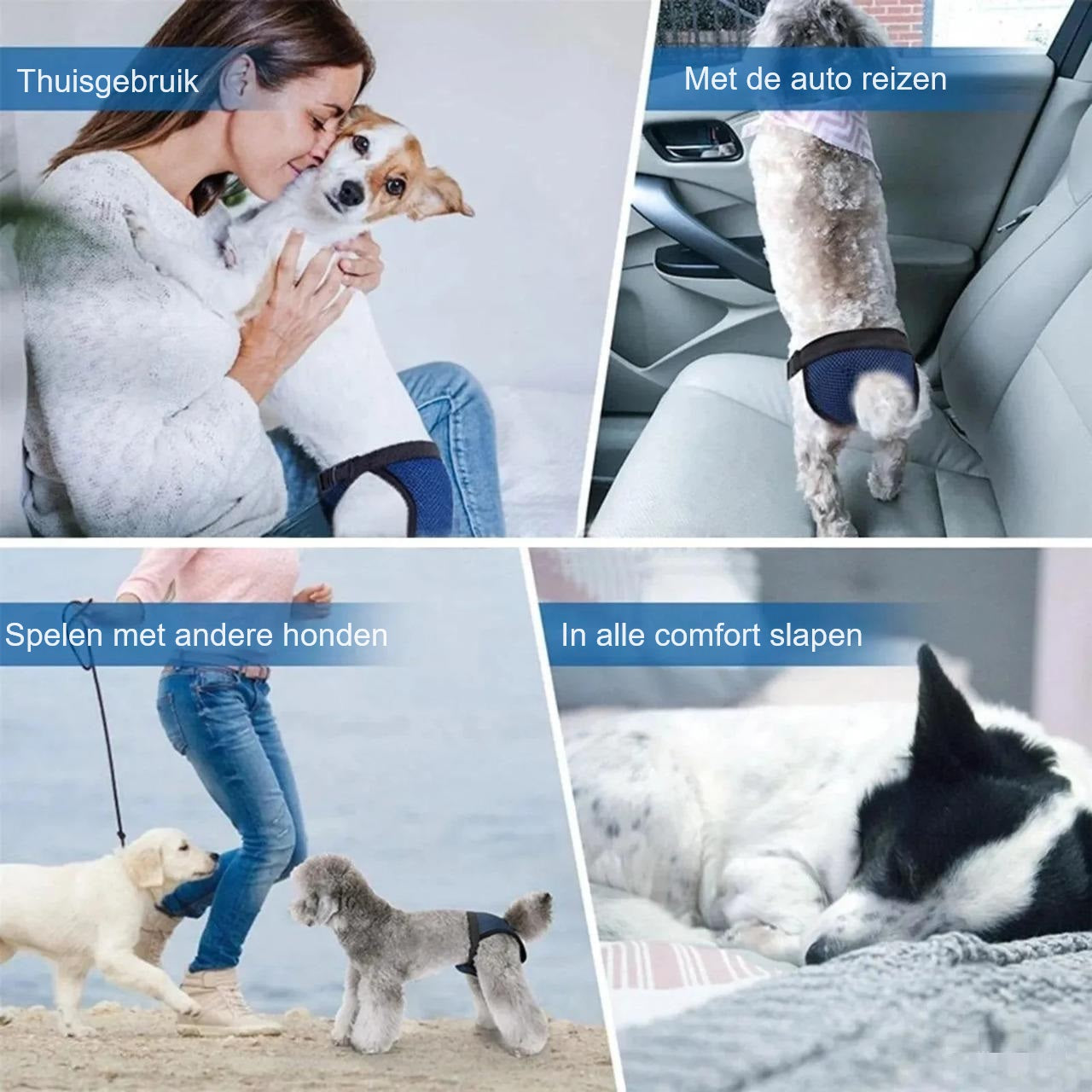 FreshWear™ | Beschermt honden tegen Lekkages
