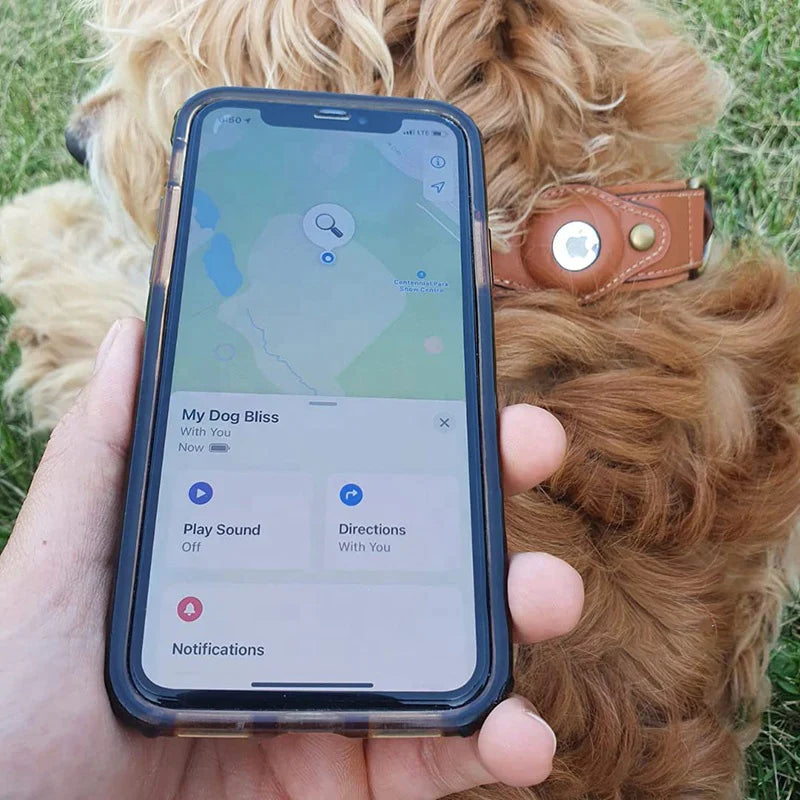 TrackMate™ | Real-Time Tracking Halsband