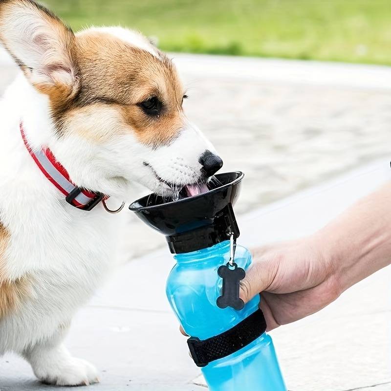 AquaPup™ | Waterfles Voor Huisdieren