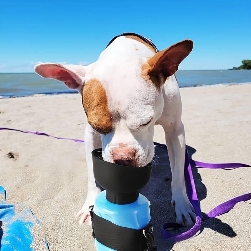 AquaPup™ | Waterfles Voor Huisdieren