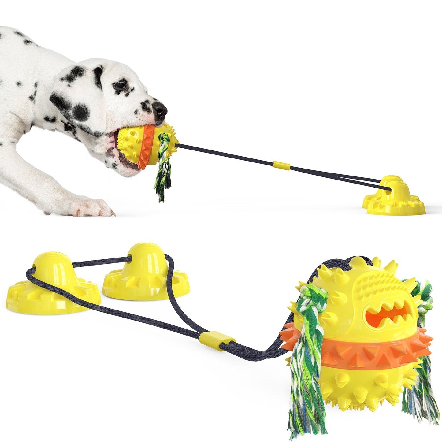 Clawzy™ | Voor Actieve Huisdieren