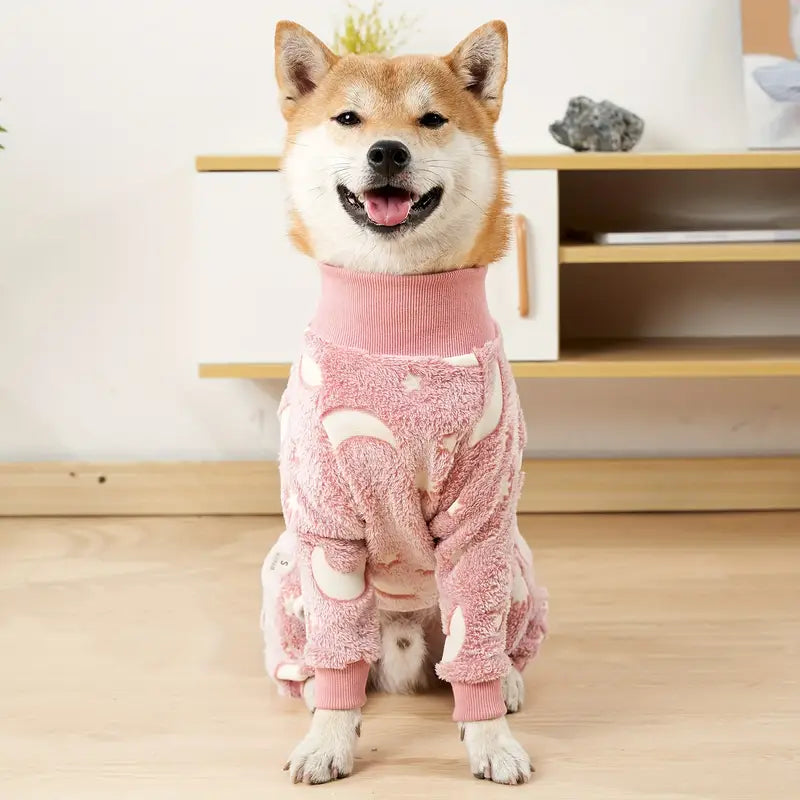 PawJam™ | Geen koude, bibberende honden