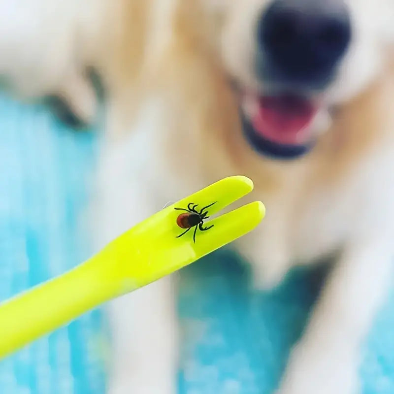 PawGrip™ | Effectief in Bescherming!