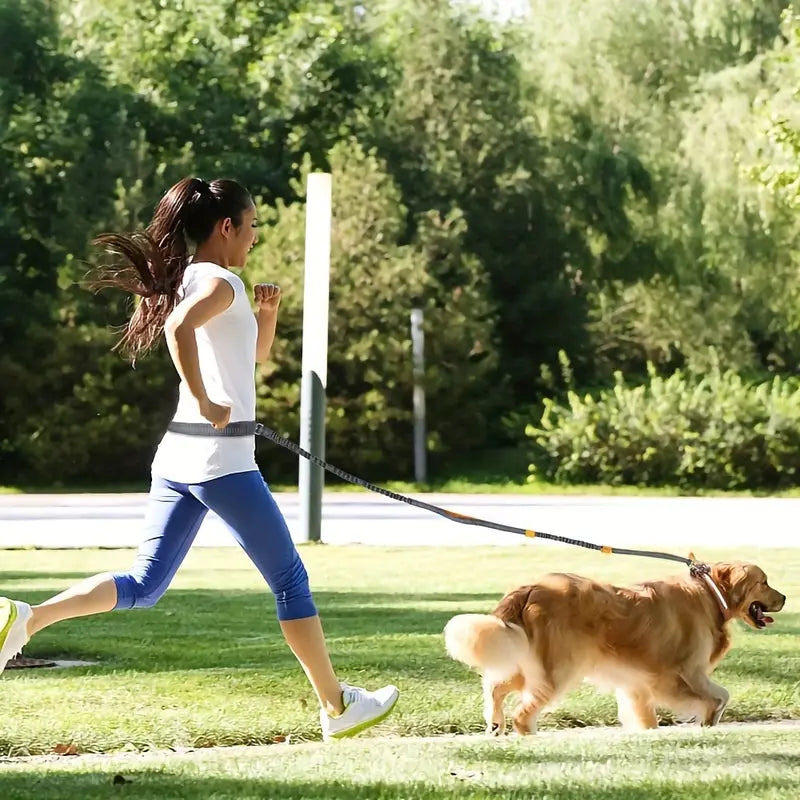 PawStrap™ | Hondenriem met veilige grip en schokdemping