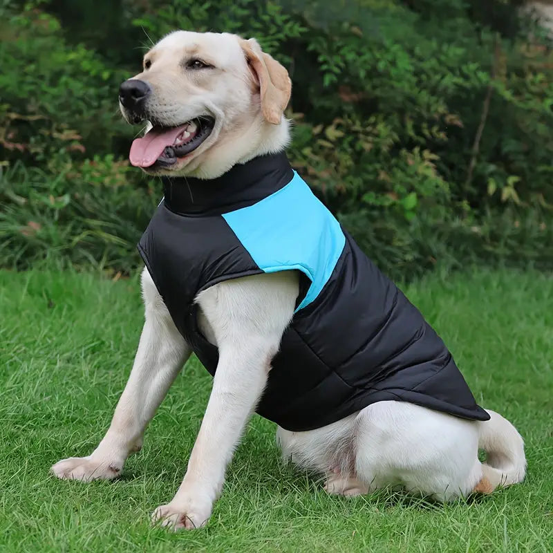 CoatPals™ | Nooit meer stress om regen en kou