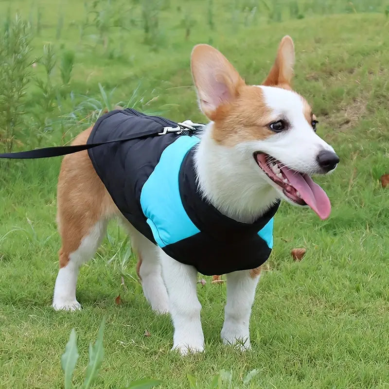 CoatPals™ | Nooit meer stress om regen en kou