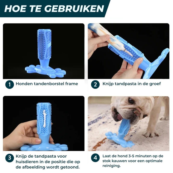 BrushPup™ | Stralend hondengebit in één speeltje