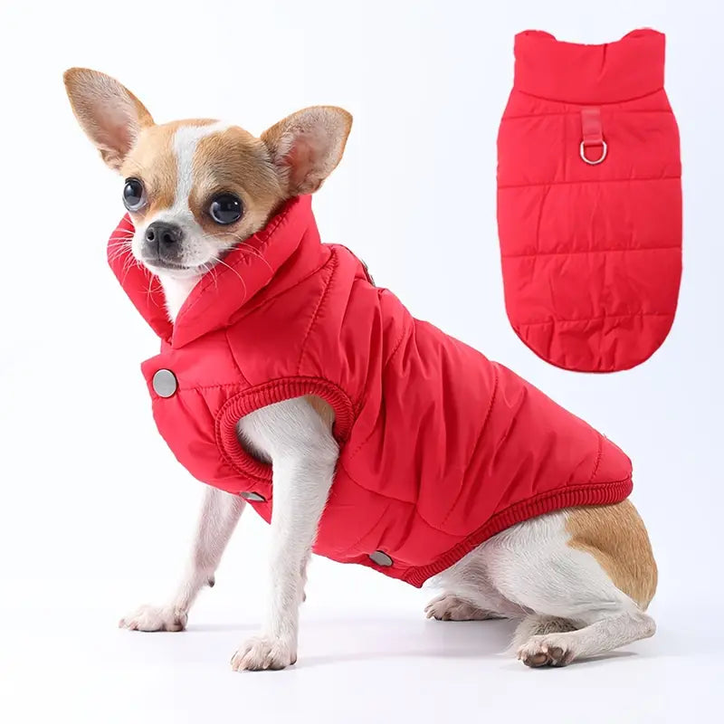 PawCoat™ | Waterdichte hondenjas