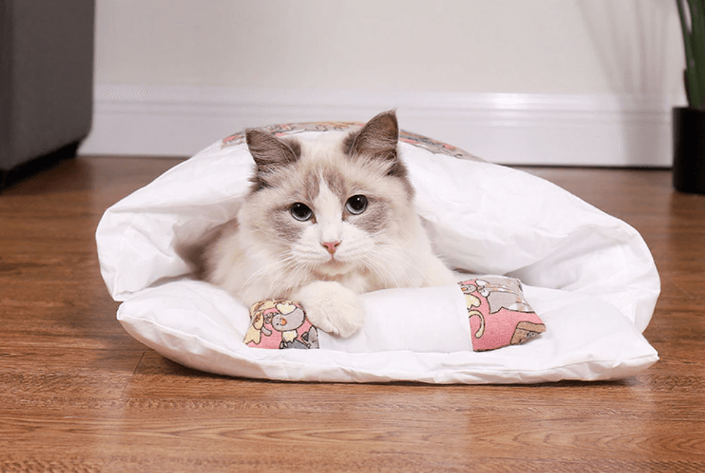 DreamKitty™ | Een luxe slaapervaring voor je kat