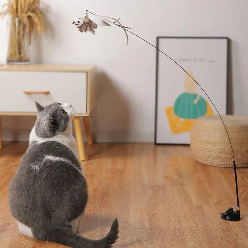 CatCatch™ | Houd je Kat Actief en je Meubels Heel