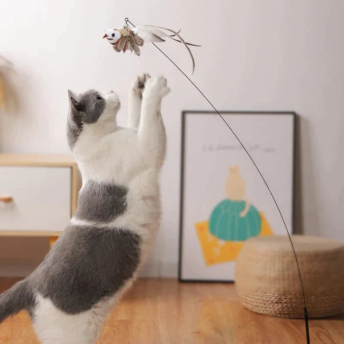 CatCatch™ | Houd je Kat Actief en je Meubels Heel