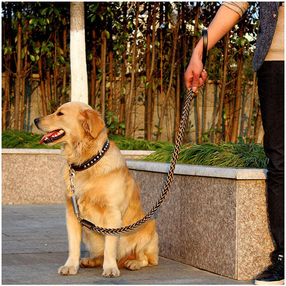 DogsGrip™ | Sterke Leer Riem voor Betrouwbare Controle