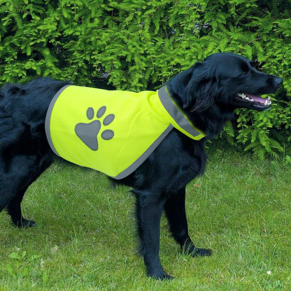 PawReflect™ | Nooit Meer Zorgen over je Hond Kwijtraken