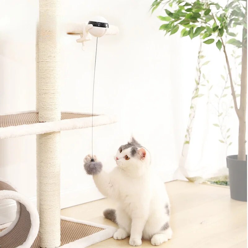 PurrPower™ | Automatische Bewegend Speeltje