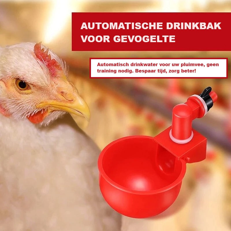 AquaHen™ | Altijd Vers Voor Je Kippen