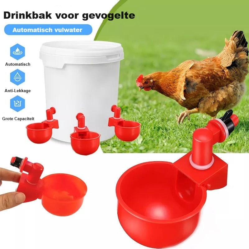 AquaHen™ | Altijd Vers Voor Je Kippen