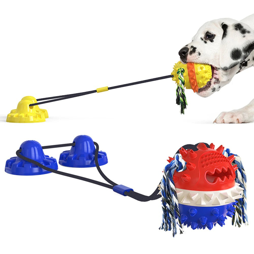 Clawzy™ | Voor Actieve Huisdieren