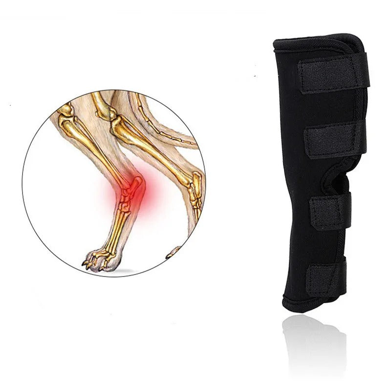 ActivePaw™ | Kniebrace voor veilige en pijnvrije beweging