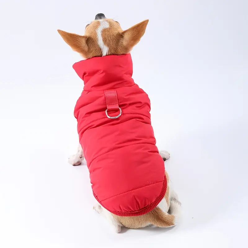 PawCoat™ | Waterdichte hondenjas