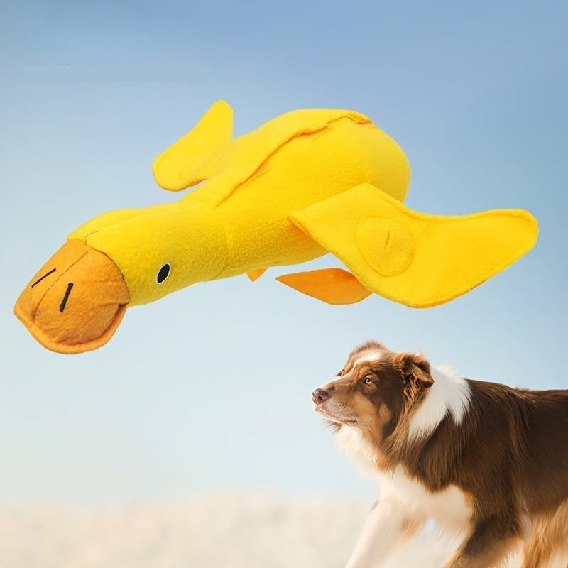 SniffleDuck™ | Stimuleer het speurinstinct