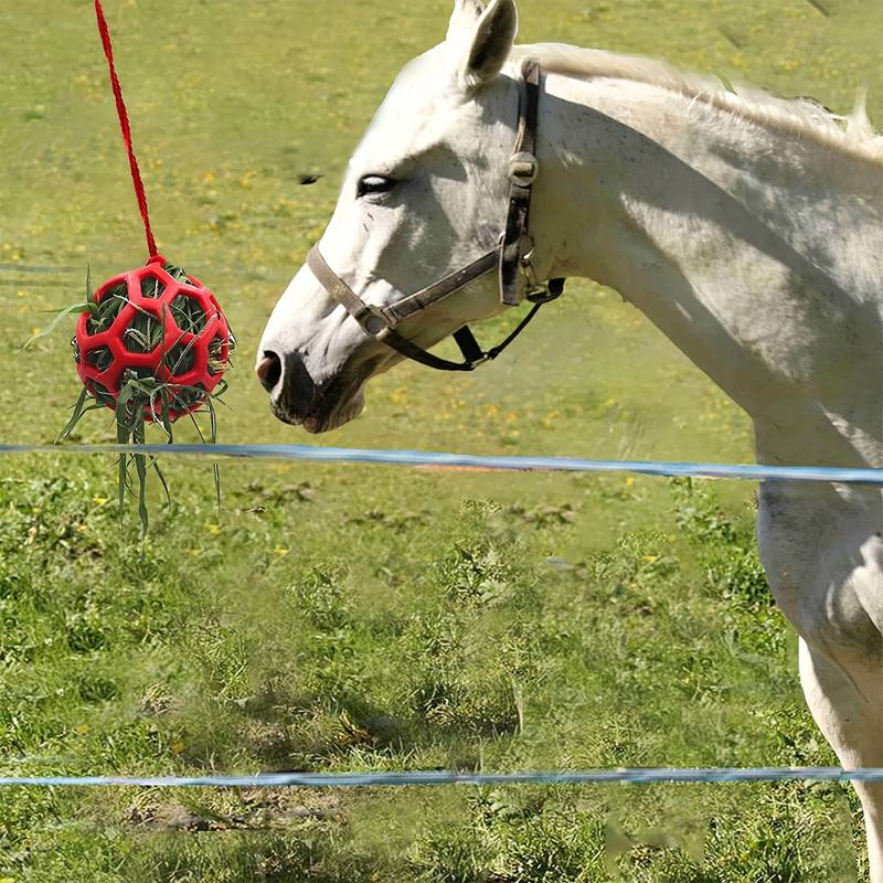 FoalFeast™ | Snackbal voor Paarden & Geiten