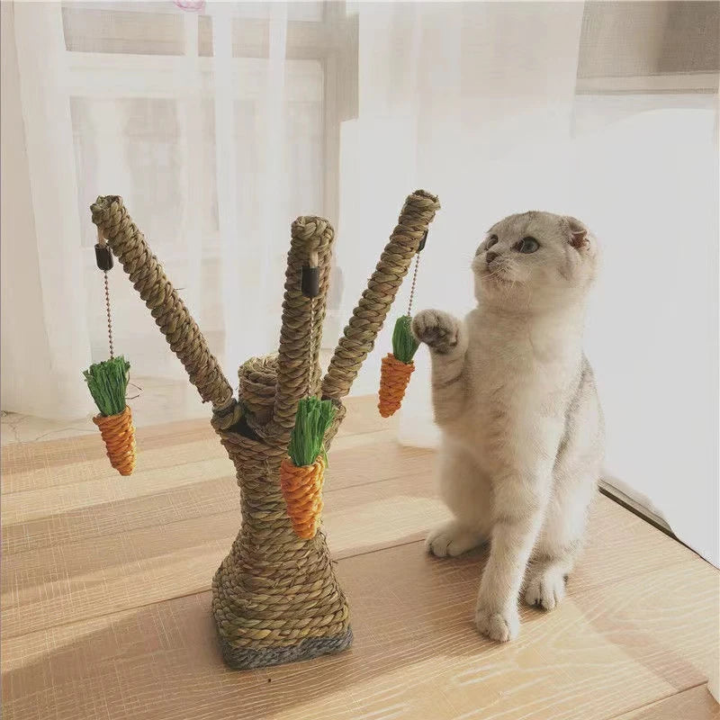 PawPeak™ | De Ultieme Kattenparadijs Krabpaal