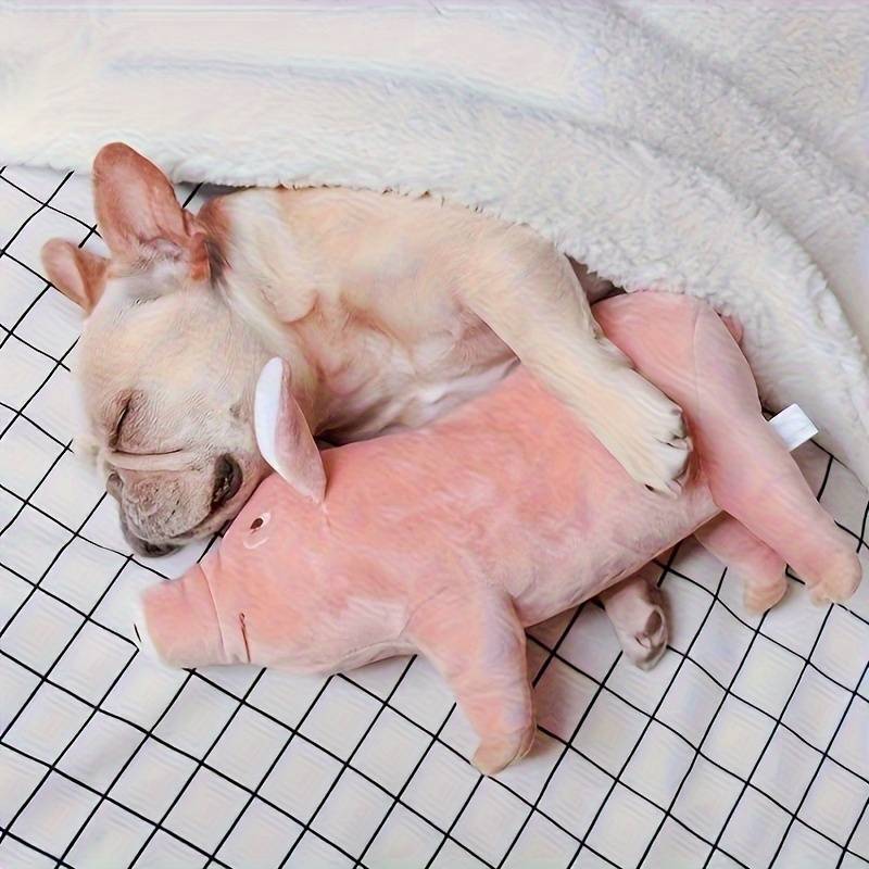 PigPals™ | Verminder Angst en Energie!