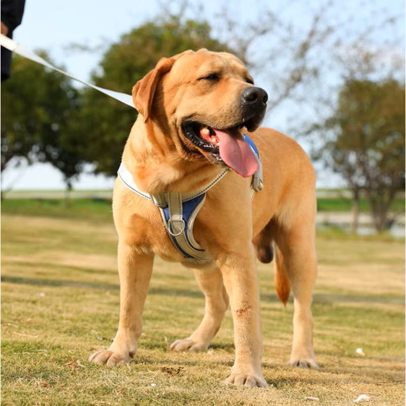 SecurePaws⢠| Riem-Harnas voor HulpHond