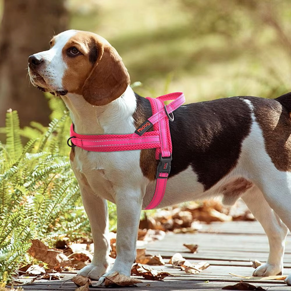 LumaPaw™ | Voor Stressvrije Wandelingen en Volledige Controle