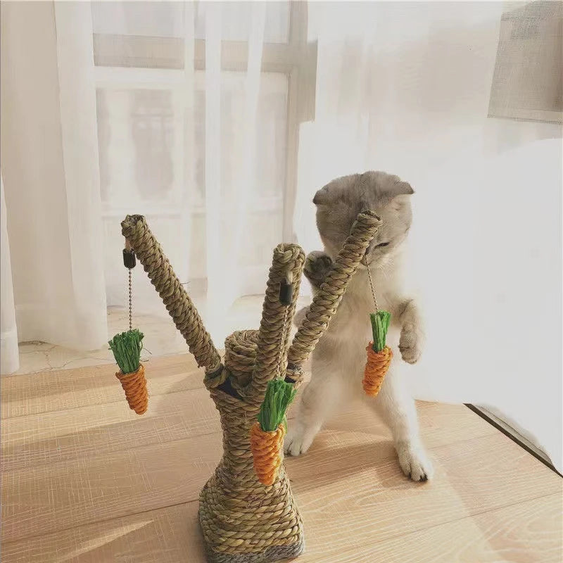 PawPeak™ | De Ultieme Kattenparadijs Krabpaal