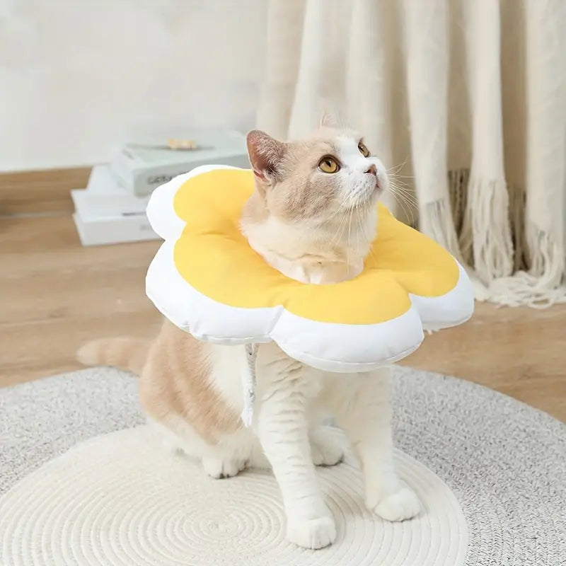 CozyCone™ | Essentieel en Stijlvol Herstel