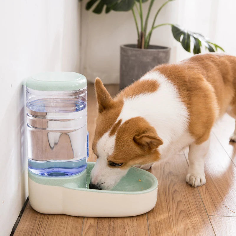 PawPotion™ | Altijd vers voedsel en water