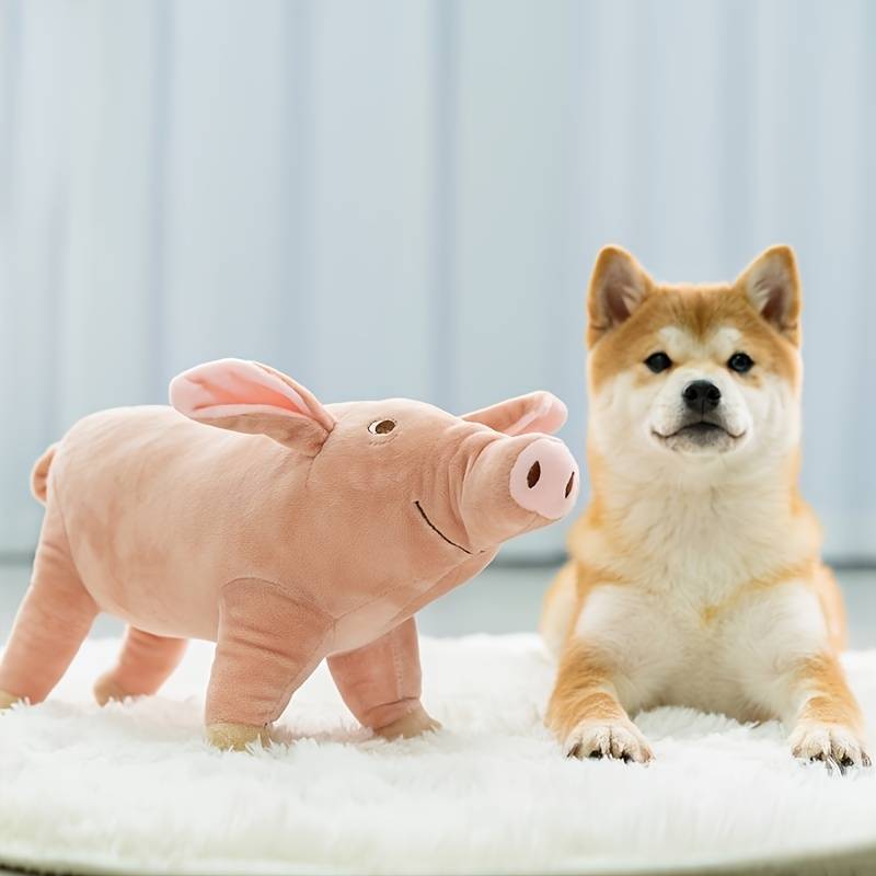 PigPals™ | Verminder Angst en Energie!