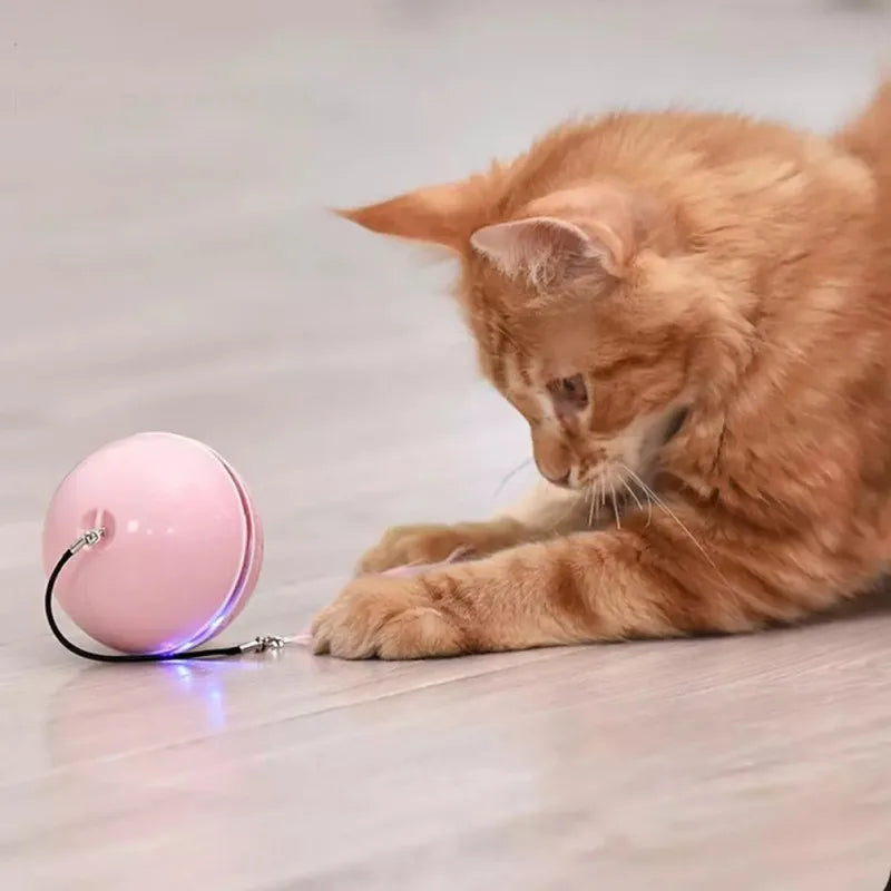 CatJolly™ | Slimme Speelbal voor Huisdieren