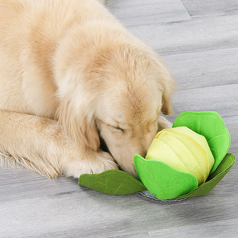 FuzzyKool™ | Perfect voor Spel en Verkenning