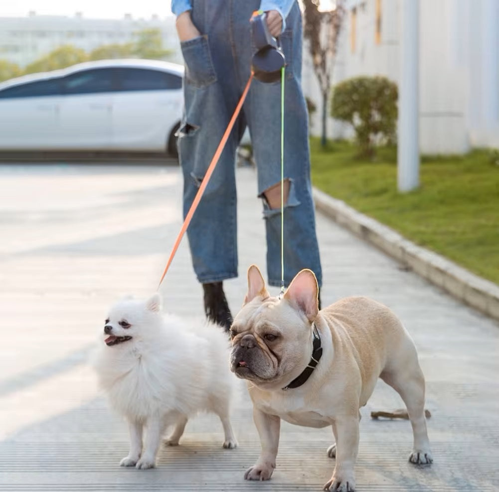 DogDuo™ | Riem met Antiknoop Technologie