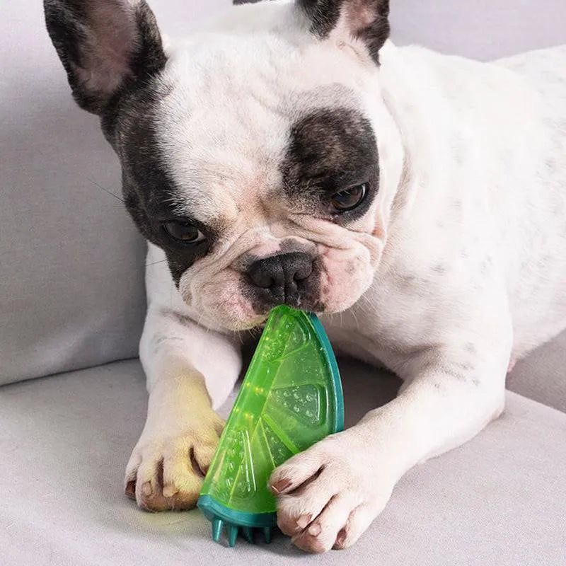 CoolPawz™ | De Ultieme Zomerverkoeling!